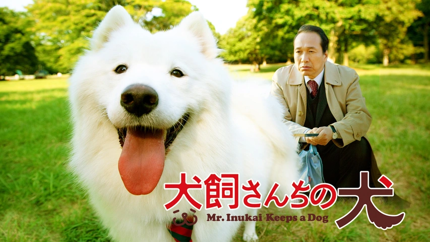 【きれいめファッション51選】上品さと清潔感をキープし 映画版 犬飼さんちの犬｜フジテレビの人気ドラマ・アニメ・TV 邦画・日本映画