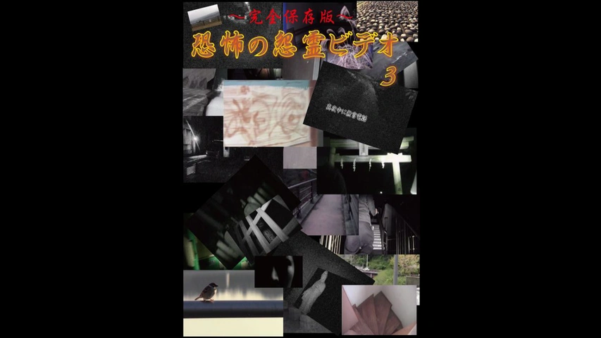 日本　怪談劇場　【情念編】・【怨念編】　全１１作　DVD全１１巻セット Amazon.co.jp: 日本怪談劇場 DVD-BOX : 佐藤慶, 中野良子, 田村亮