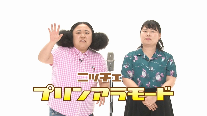 海外輸入 インボイス ニッチェ「プリンアラモード」｜フジテレビの人気ドラマ・アニメ 漫才、コント、喜劇