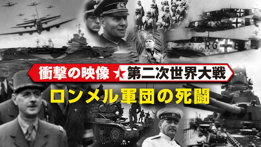 新しいエルメス 衝撃の映像・第二次世界大戦 激闘！北アフリカ戦線｜フジテレビ 戦争