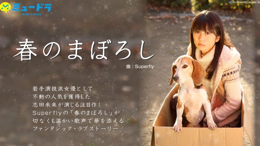 ミュードラ(music+drama)｢春のまぼろし｣｜フジテレビの人気ドラマ