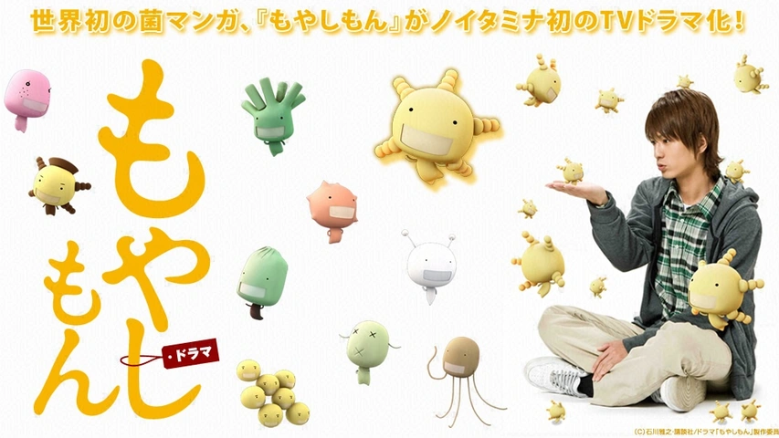 もやしもん｜フジテレビの人気ドラマ・アニメ・TV番組の動画が見放題