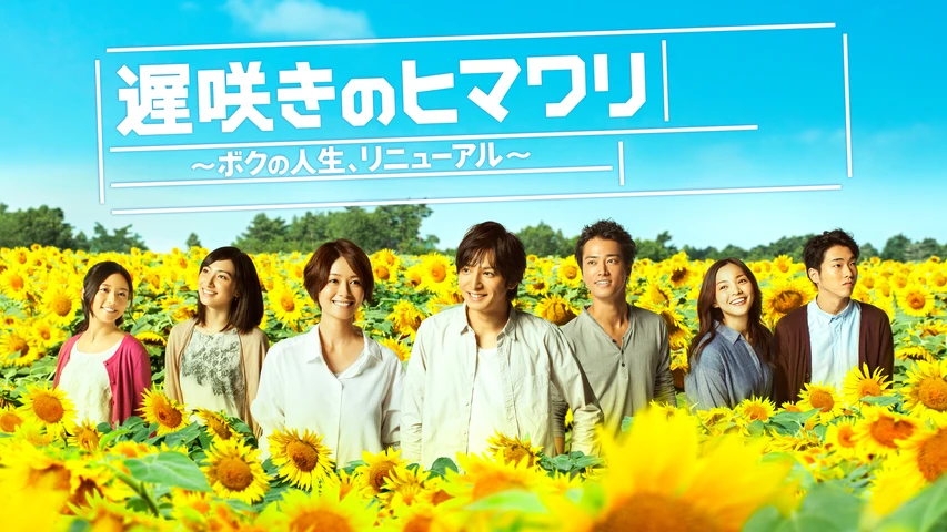 遅咲きのヒマワリ ~ボクの人生、リニューアル~ DVD-BOX　生田斗真 ドラマ｜遅咲きのヒマワリの動画を無料で見れる配信サイトまとめ - VOD劇場