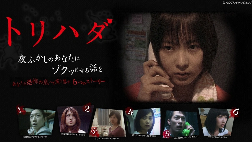 海外限定 ホラーDVD トリハダ 全6話フジテレビ深夜放送 USED