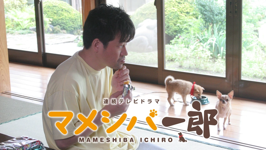 ドラマ版マメシバ一郎｜フジテレビの人気ドラマ・アニメ・TV番組の動画