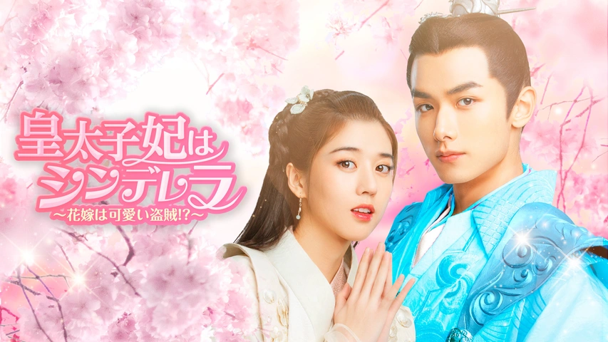 皇太子妃はシンデレラ　～花嫁は可愛い盗賊！？～　ＤＶＤ－ＢＯＸ２ 皇太子妃はシンデレラ～花嫁は可愛い盗賊！？～｜フジテレビの