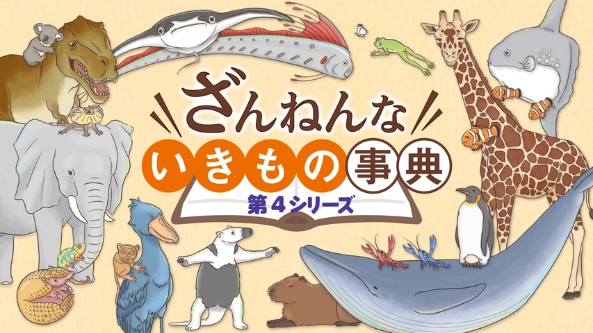 ざんねんないきもの事典｜フジテレビの人気ドラマ・アニメ・TV
