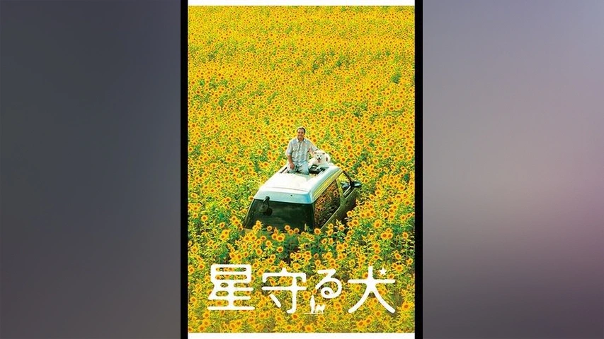星守る犬＜Blu-ray＞ g6bh9ry Amazon.co.jp: 星守る犬＜Blu-ray＞ : 西田敏行, 玉山鉄二, 藤 竜也