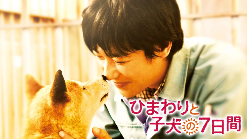 ひまわりと子犬の7日間(Blu-ray) Amazon.co.jp: ひまわりと子犬の7日間(Blu-ray) : 堺雅人, 中谷