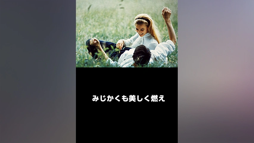 ★映画チラシ【みじかくも美しく燃え】みゆき座 ☆映画チラシ【みじかくも美しく燃え】みゆき座 印刷物