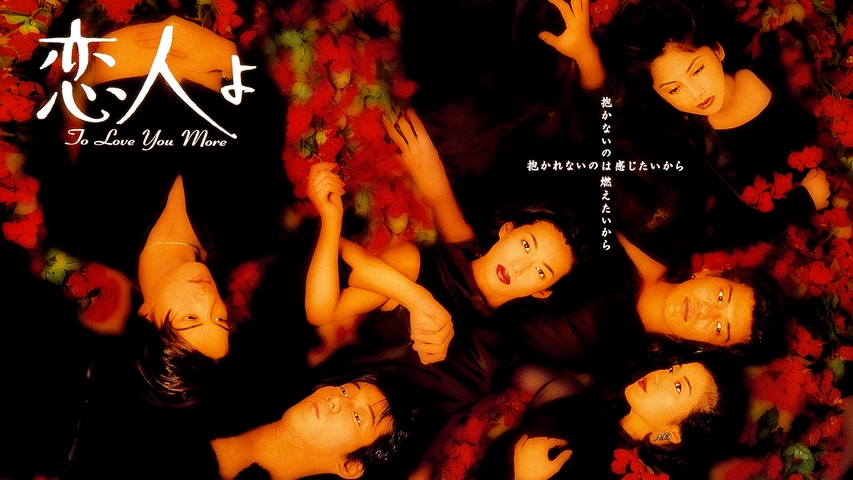 恋人よ DVD-BOX〈4枚組〉鈴木保奈美 長瀬智也