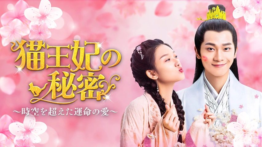 猫王妃の秘密　～時空を超えた運命の愛～　ＤＶＤ－ＢＯＸ１ 猫王妃の秘密〜時空を超えた運命の愛〜DVD-BOX