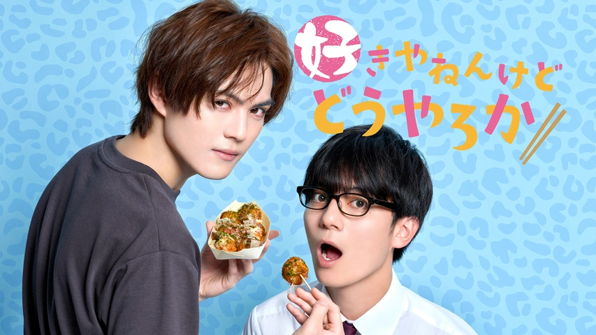 好きやねんけどどうやろか DVD Amazon.co.jp: 「好きやねんけどどうやろか」DVD BOX 通常版