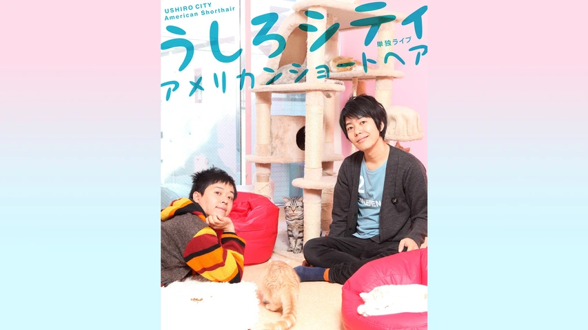 数量限定価格!! うしろシティ単独ライブ「どこが海のみえるまち」｜フジテレビの 漫才、コント、喜劇