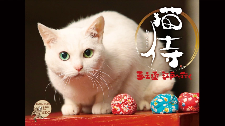 映画 猫侍｜フジテレビの人気ドラマ・アニメ・TV番組の動画が見放題＜FOD＞