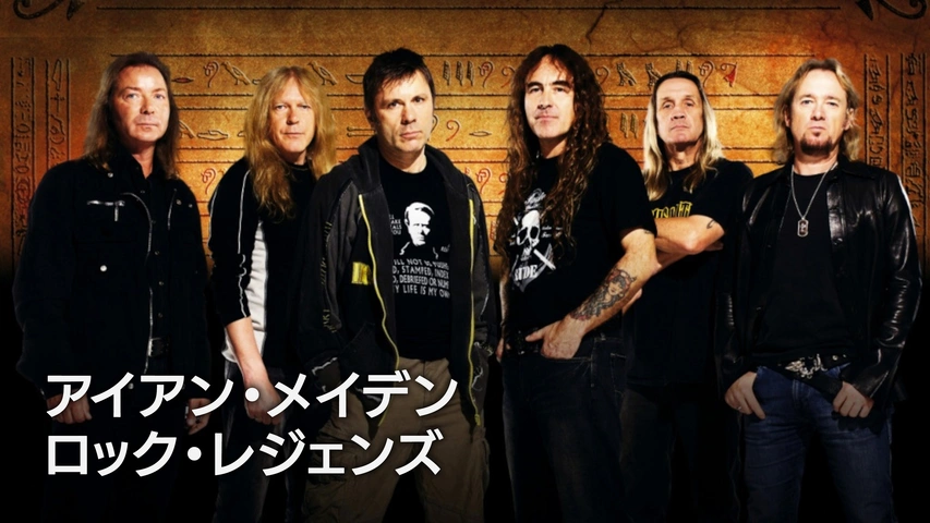 プログレ ヘビメタ サザンロック LD セット 8枚 アイアンメイデン プログレ ヘビメタ サザンロック LD セット 8枚 アイアンメイデン