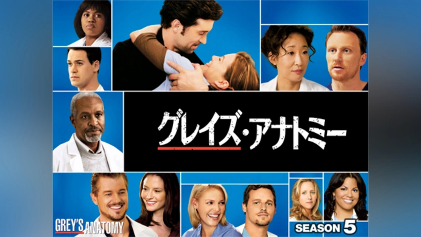 激安通販サイト グレイズ・アナトミー シーズン1｜フジテレビの人気ドラマ TVドラマ