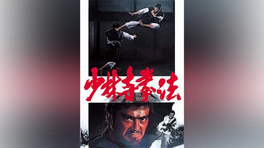 少林寺拳法 Amazon.co.jp: 少林寺拳法 [DVD] : 千葉真一, 志穂美悦子, 佐藤允