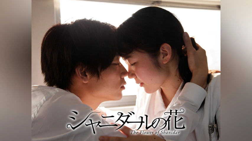 綾野剛さん出演「シャニダールの花」 DVDセットです。 Amazon.co.jp: シャニダールの花 特別版 Blu-ray : 綾野剛, 黒木