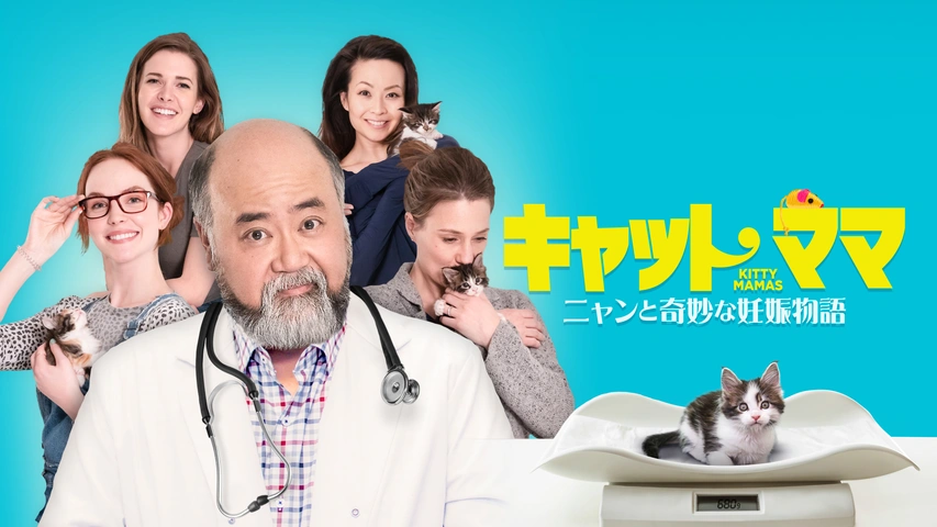 ネコちゃん他。キティママです。 キャット・ママ ニャンと奇妙な妊娠物語｜フジテレビの人気ドラマ