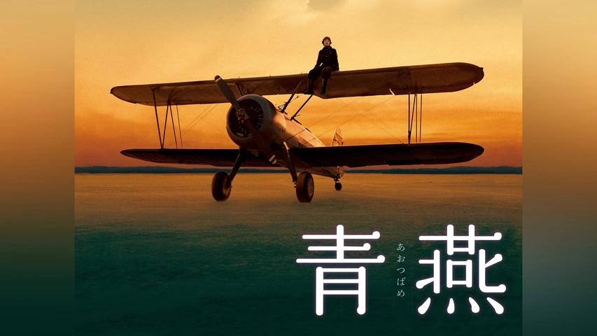 青燕 あおつばめ [DVD] チャン・ジニョン (出演), キム・ジュヒョク (出演), ユン・ジョンチャン (監督) Amazon.co.jp: 青燕-あおつばめ- [DVD] : チャン・ジニョン, キム