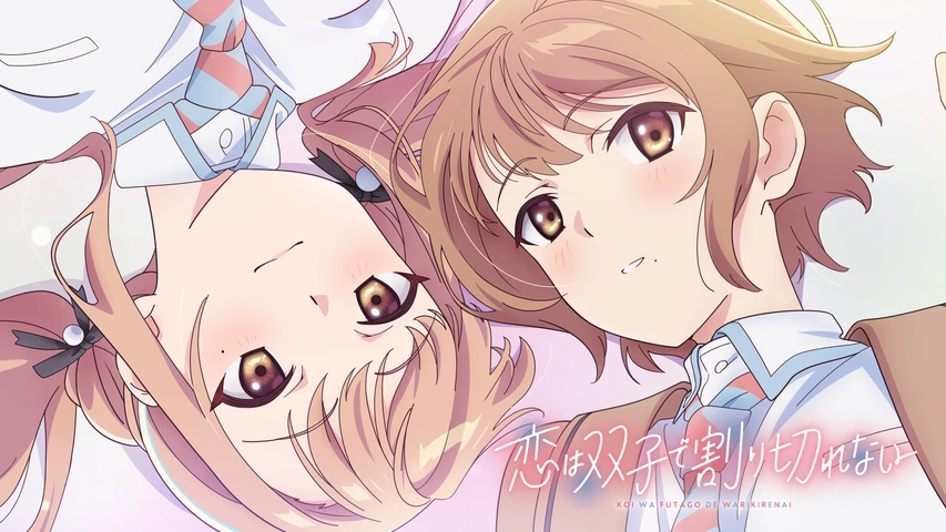 恋は双子で割り切れない DVD 全6巻 全巻セット　アニメ 全12話収録 恋は双子で割り切れない DVD 全6巻 全巻セット アニメ 全12話