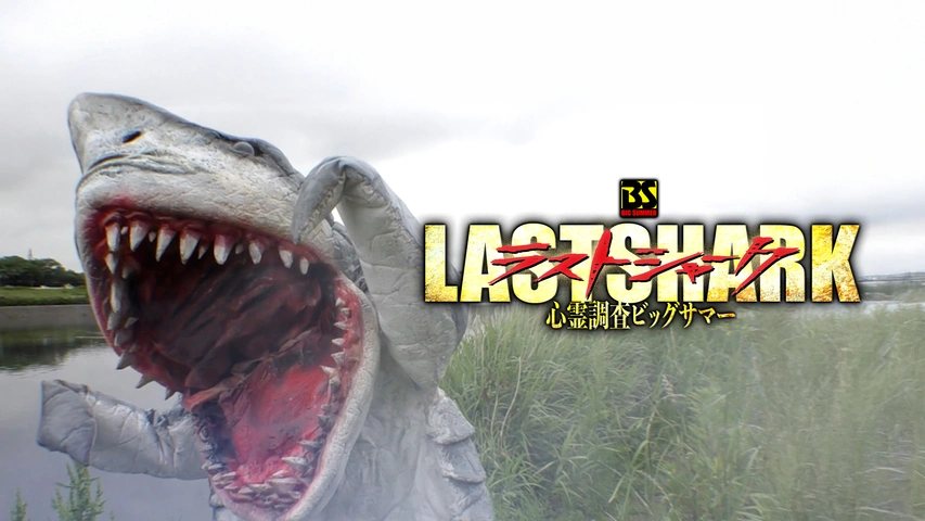 ラストシャーク 心霊調査ビッグサマー｜フジテレビの人気ドラマ