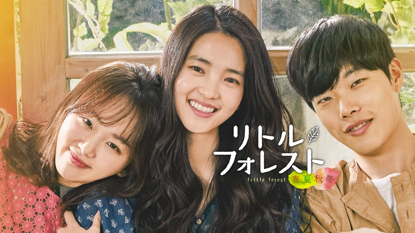 Amazon.co.jp: DVD リトル・フォレスト 夏/秋 冬/春DVD リトル