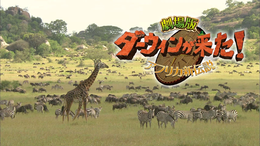 【メーカー直送】 劇場版 ～アフリカ新伝説～｜フジテレビの ダーウィンが来た！ ドキュメンタリー