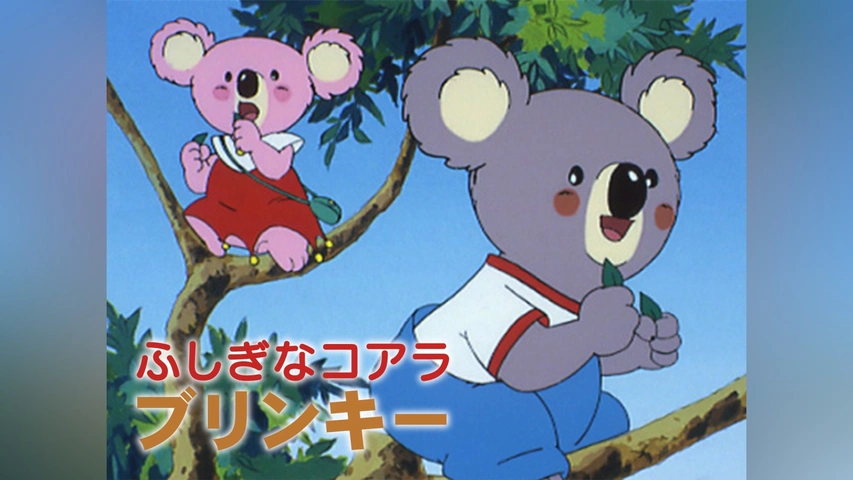 冬ギフト  ふしぎなコアラブリンキー｜フジテレビの人気ドラマ・アニメ・TV その他