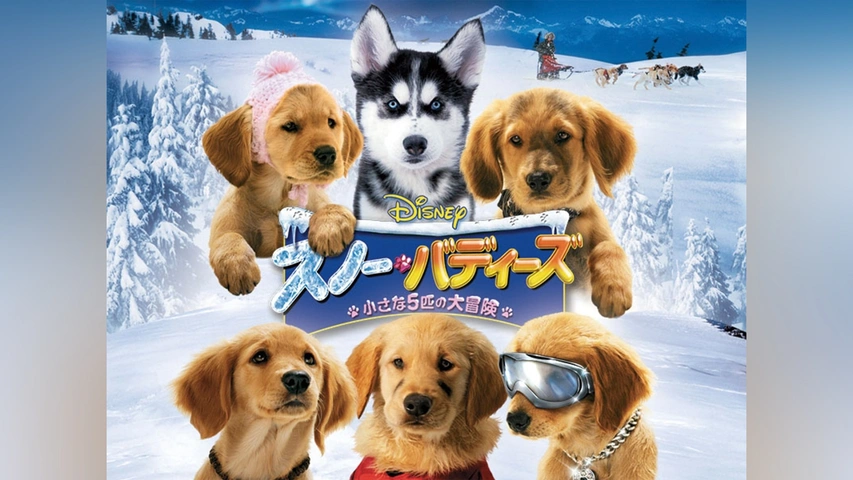 スノー・バディーズ/小さな5匹の大冒険｜フジテレビの人気ドラマ