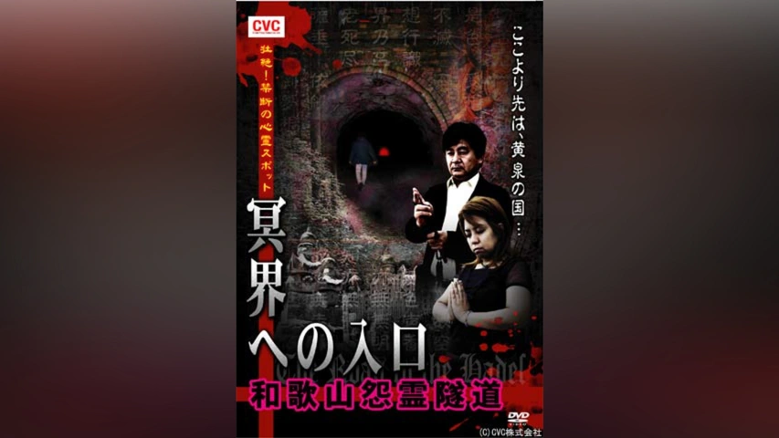 放送禁止VTR!実録心霊スポット [DVD] Amazon.co.jp: 放送禁止VTR！実録心霊スポット 真夜中の廃墟