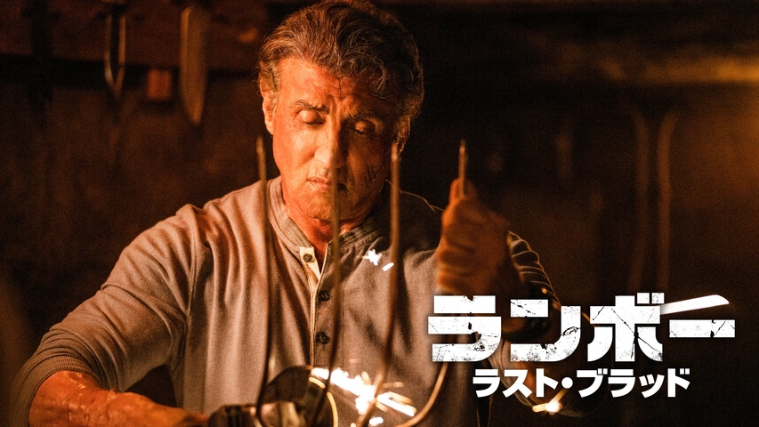 Amazon.co.jp: ランボー怒りの脱出 [DVD] : シルヴェスター
