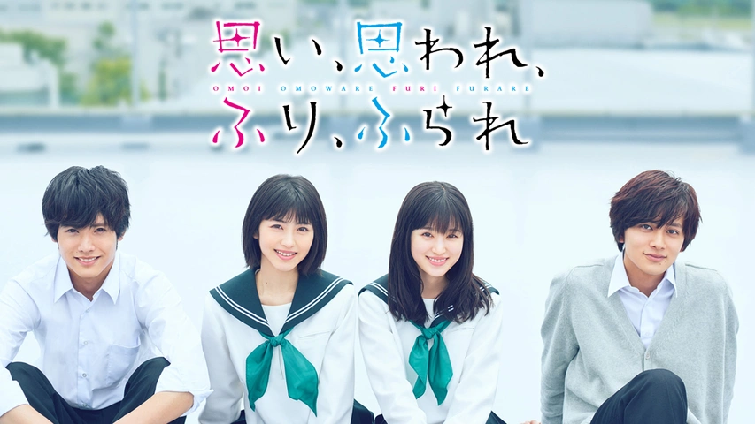 赤楚衛二　非売品　店頭 ポップ 思い、思われ、ふり、ふられ 思い、思われ、ふり、ふられ｜フジテレビの人気ドラマ・アニメ・TV番組