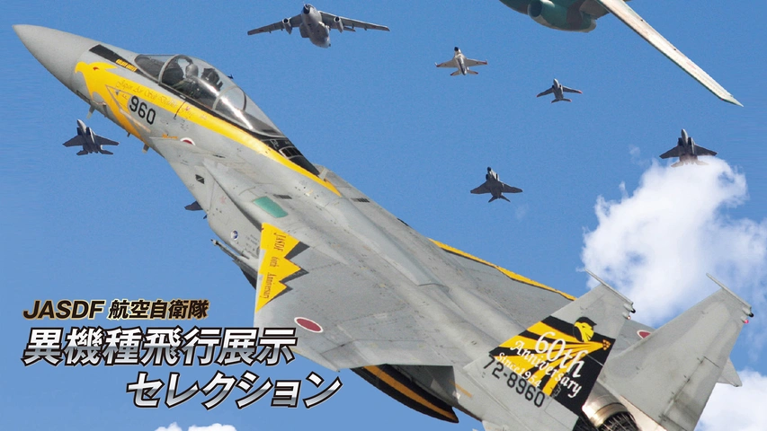 JASDF 航空自衛隊 異機種飛行展示 セレクション｜フジテレビの人気