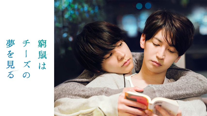 窮鼠はチーズの夢を見る｜フジテレビの人気ドラマ・アニメ・TV番組の