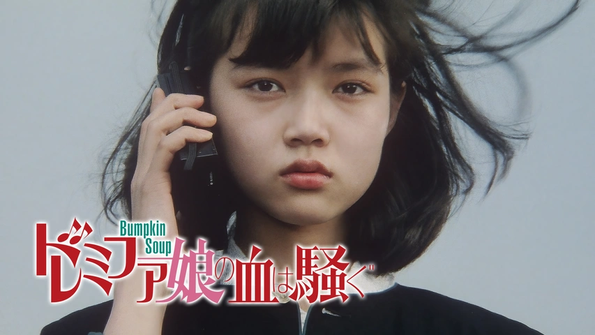格安人気 ドレミファ娘の血は騒ぐ｜フジテレビの人気ドラマ・アニメ・TV コメディ