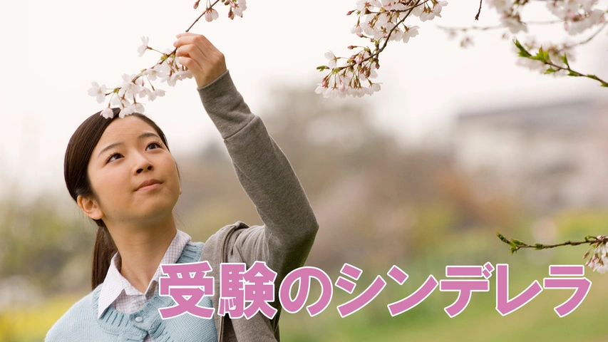 受験のシンデレラ｜フジテレビの人気ドラマ・アニメ・TV番組の動画が見