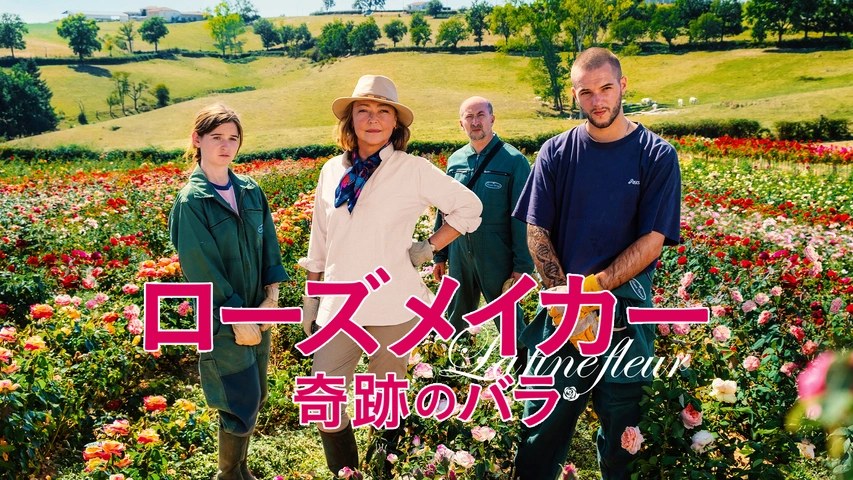 【新発売】今週の市販 ローズメイカー 奇跡のバラ｜フジテレビの人気ドラマ・アニメ その他