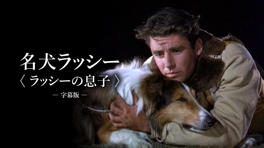 名犬ラッシー / ラッシーの息子 [DVD] wwzq1cm Amazon.co.jp: 名犬ラッシー / ラッシーの息子 [DVD] : ピーター