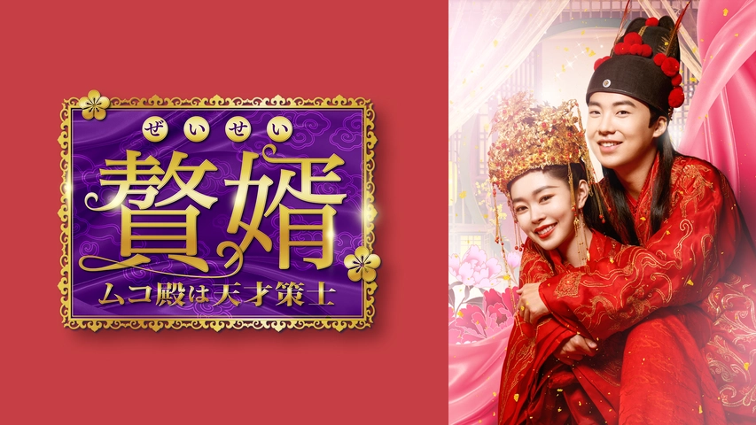 日本製 贅婿［ぜいせい］～ムコ殿は天才策士～ DVD-BOX2 DVD - TVドラマ