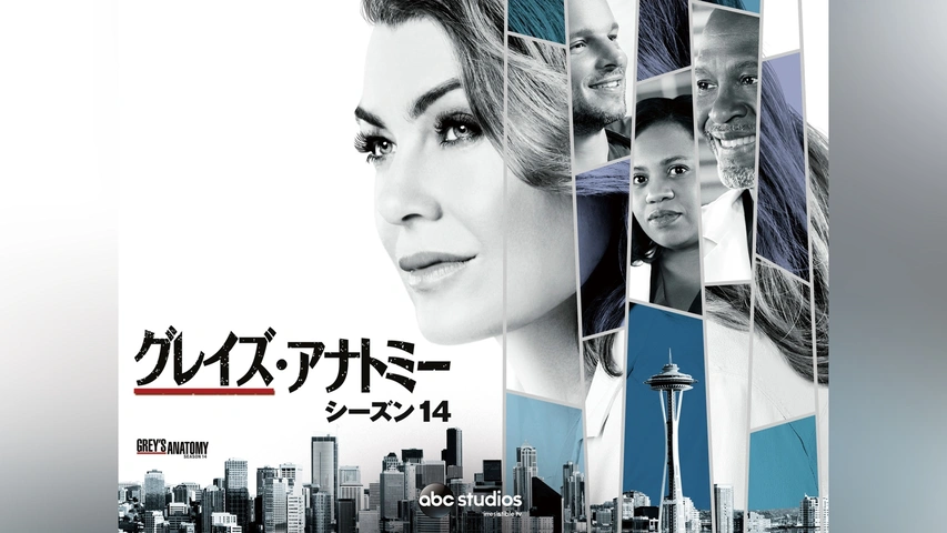 グレイズ・アナトミー シーズン1〜16 DVD 全180巻　☆大人気海外ドラマ