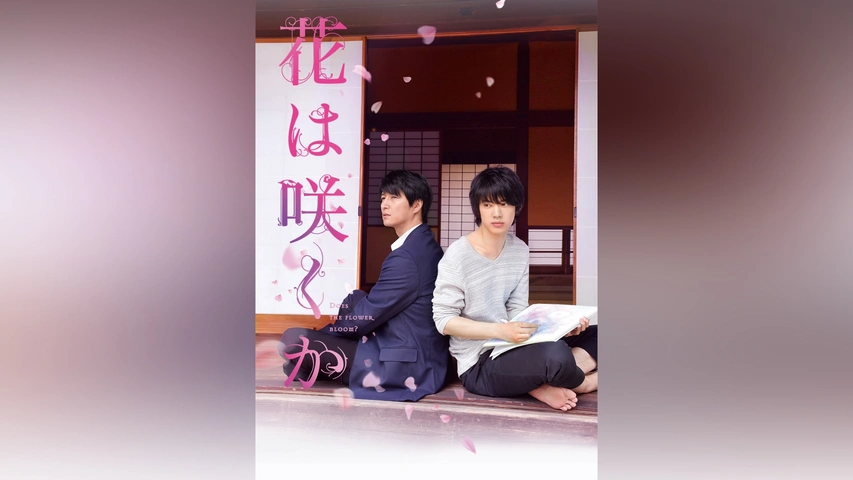 映画パンフレット　花は咲くか 映画『花は咲くか』特集 | 東映ビデオオフィシャルサイト