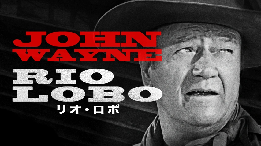 Amazon.co.jp: ub16931ジョン・ウェインリオ・ロボ立看 : ホーム