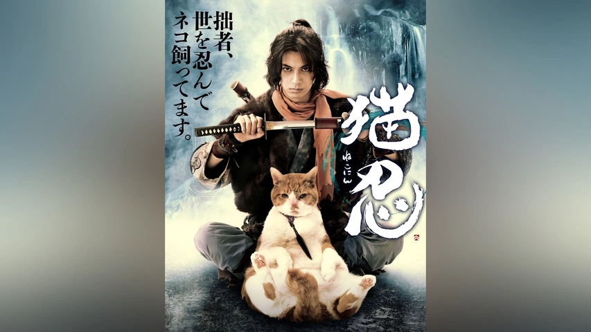 ドラマ「 猫忍 」DVD-BOX Amazon.co.jp: ドラマ「 猫忍 」DVD-BOX : 大野拓朗, 船越英一郎, 渡辺