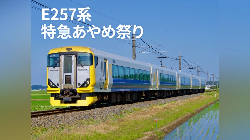 【新品未開封・送料無料】 E257系特急あやめ祭り｜フジテレビの人気ドラマ・アニメ・TV番組 タイムセール