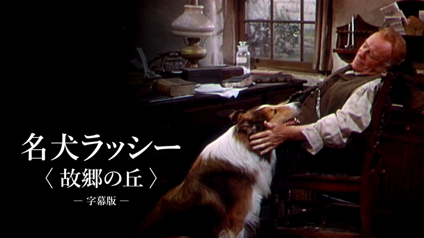 名犬ラッシー＜故郷の丘＞（字幕版）｜フジテレビの人気ドラマ