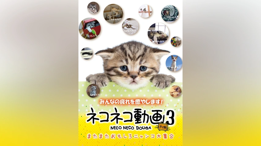 ネコネコ動画II~世界のおもしろニャンコ大集合~ [DVD] 9jupf8b Amazon.co.jp: ネコネコ動画 ~おもしろニャンコ大集合~ [DVD] : DVD