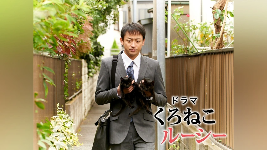 ドラマ くろねこルーシー｜フジテレビの人気ドラマ・アニメ・TV番組の