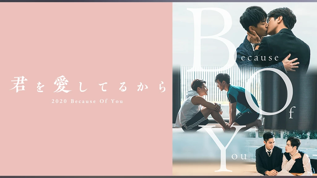 Because Of You 君を愛してるから フジテレビの人気ドラマ アニメ Tv番組の動画が見放題 Fod